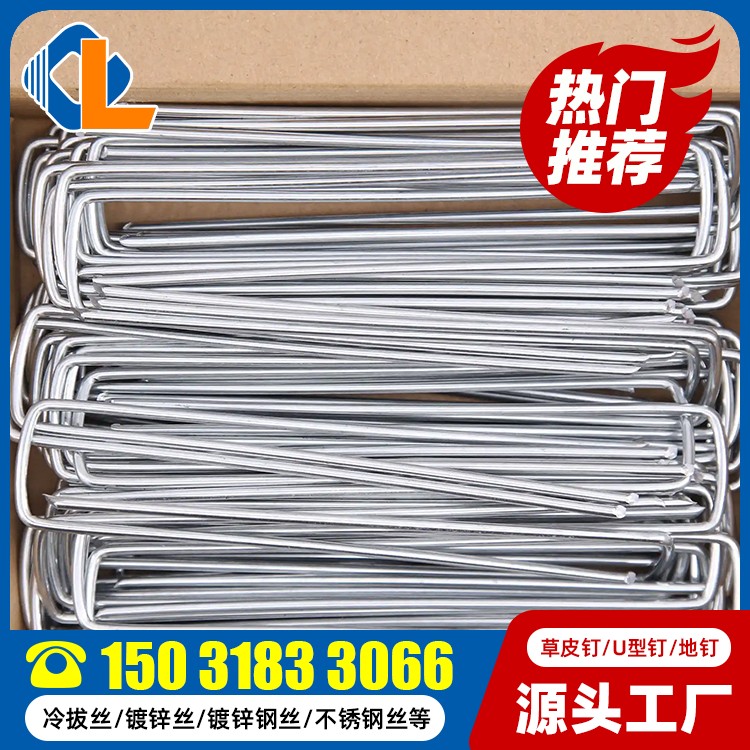 方頭草坪釘 土工格柵草坪釘尺寸規范 地釘子 地釘一般釘什么東西