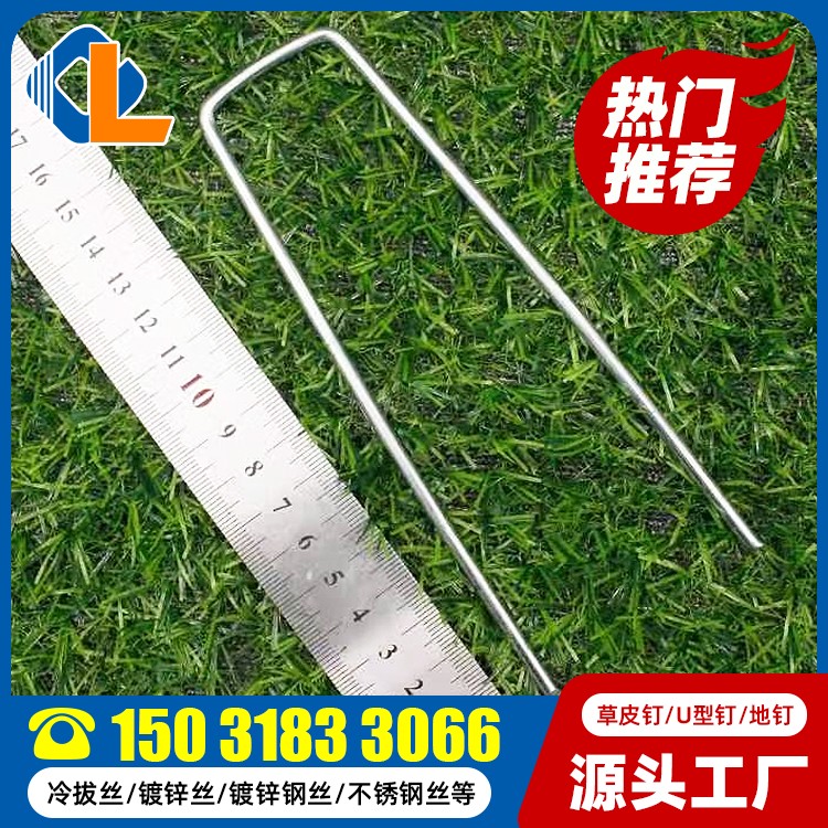 草皮釘固定器圖片 草坪釘生產廠家 草坪釘一般在哪可以買到 草坪釘直釘