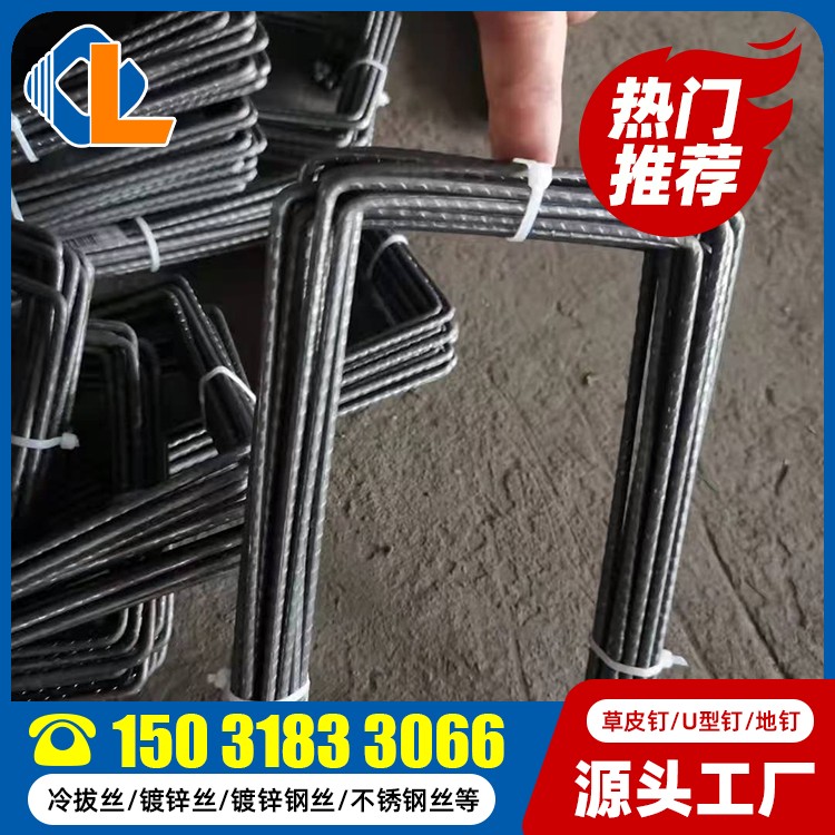 草坪釘固定土工格柵 20cm長地釘 地釘規格 草皮固定釘